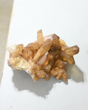 XL Natural Citrine Cluster - South Africa