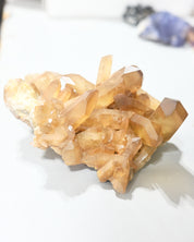 XL Natural Citrine Cluster - South Africa