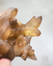 XL Natural Citrine Cluster - South Africa