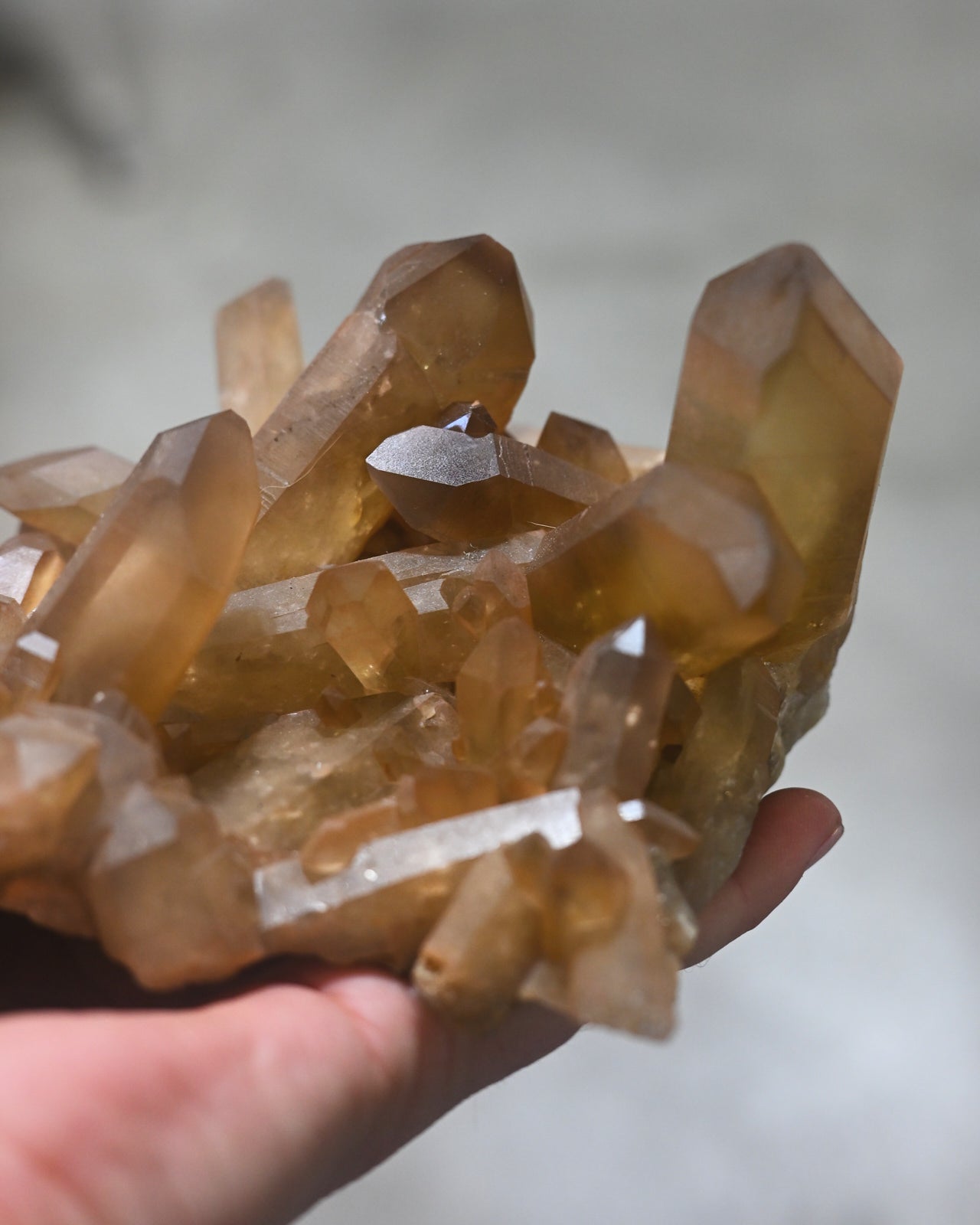 XL Natural Citrine Cluster - South Africa