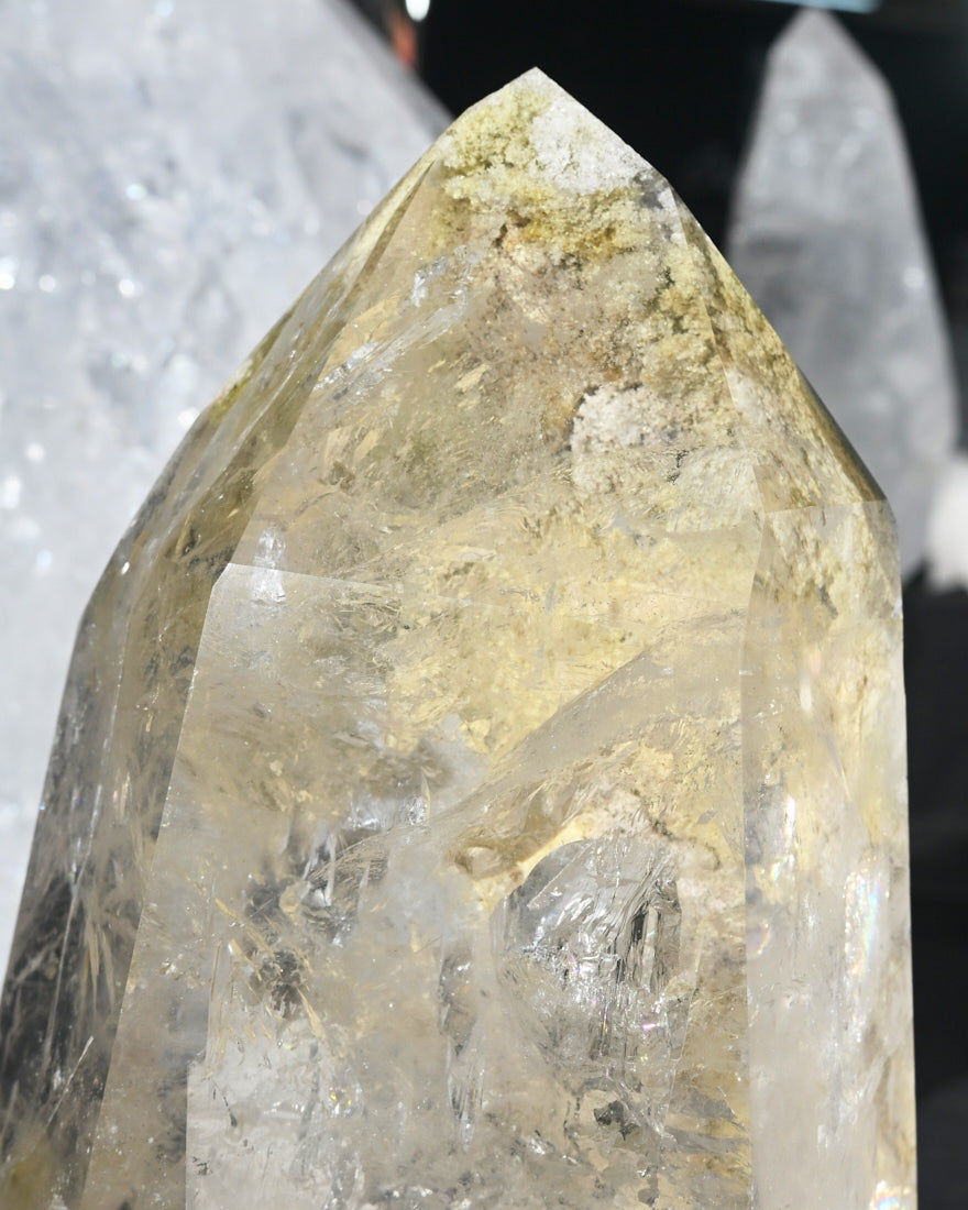 XXL Chlorite Garden Quartz on Stand 19lbs