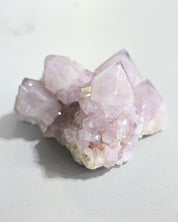 Amethyst Spirit Cactus Quartz Cluster