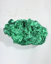 XL Fibrous Malachite Rough