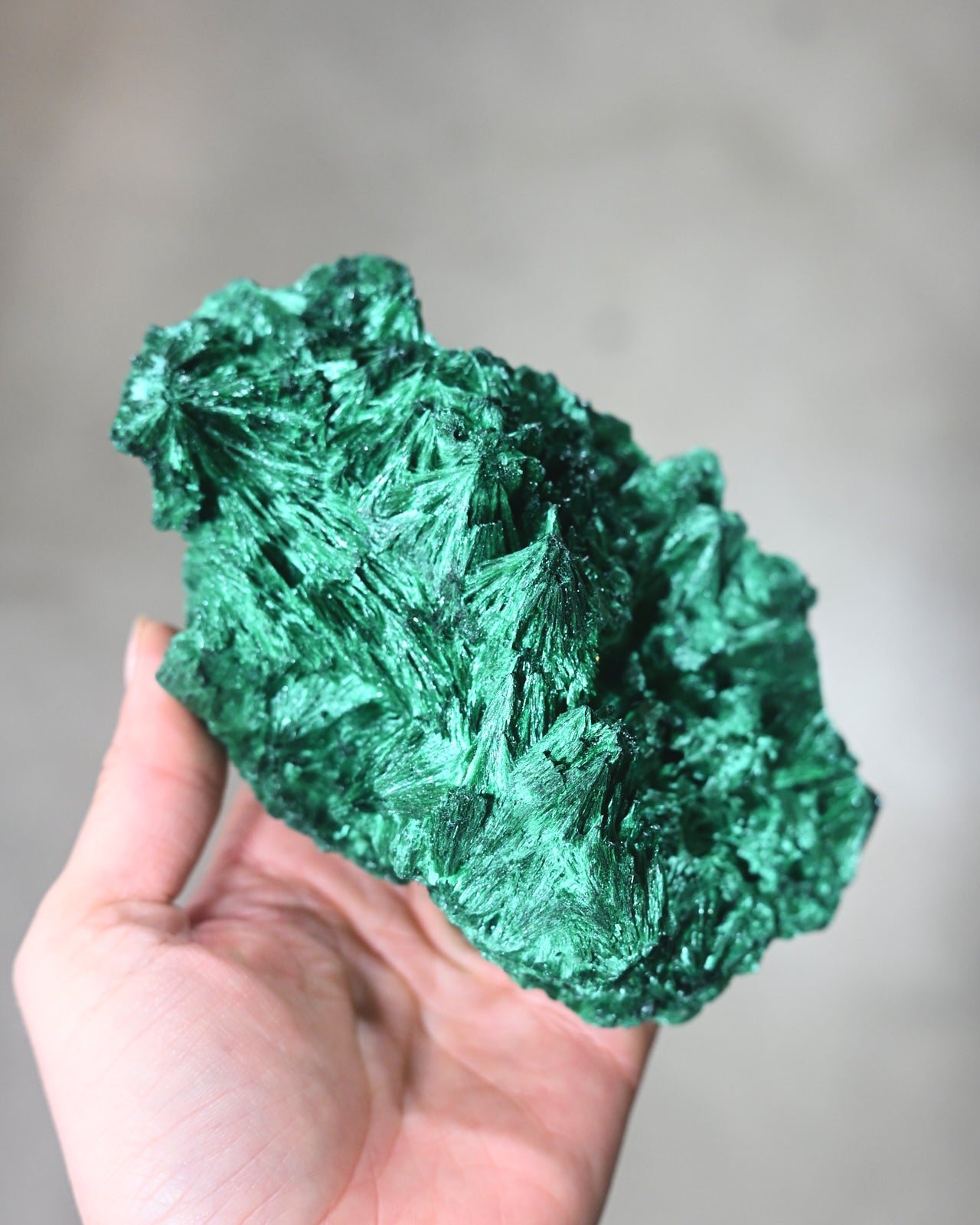 XL Fibrous Malachite Rough