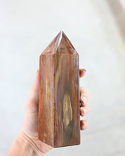 Petrified Wood Tower LG