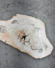 Xl Petrified Wood Slab