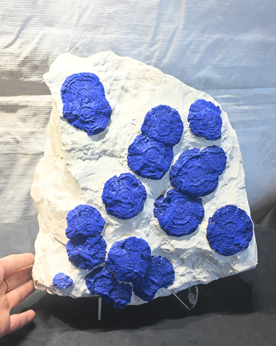 Rare Azurite Specimen Museum Grade XXL