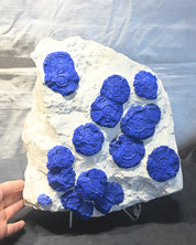 Rare Azurite Specimen Museum Grade XXL