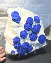 Rare Azurite Specimen Museum Grade XXL