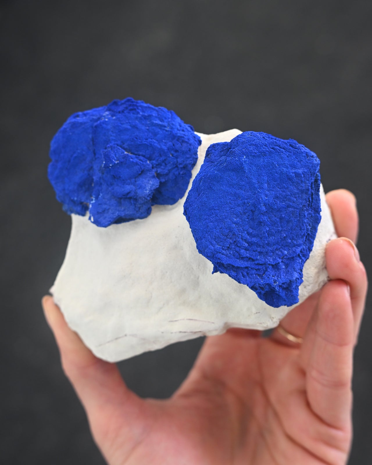 Rare Azurite Specimen Museum Grade