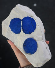 XL Rare Azurite Specimen Museum Grade