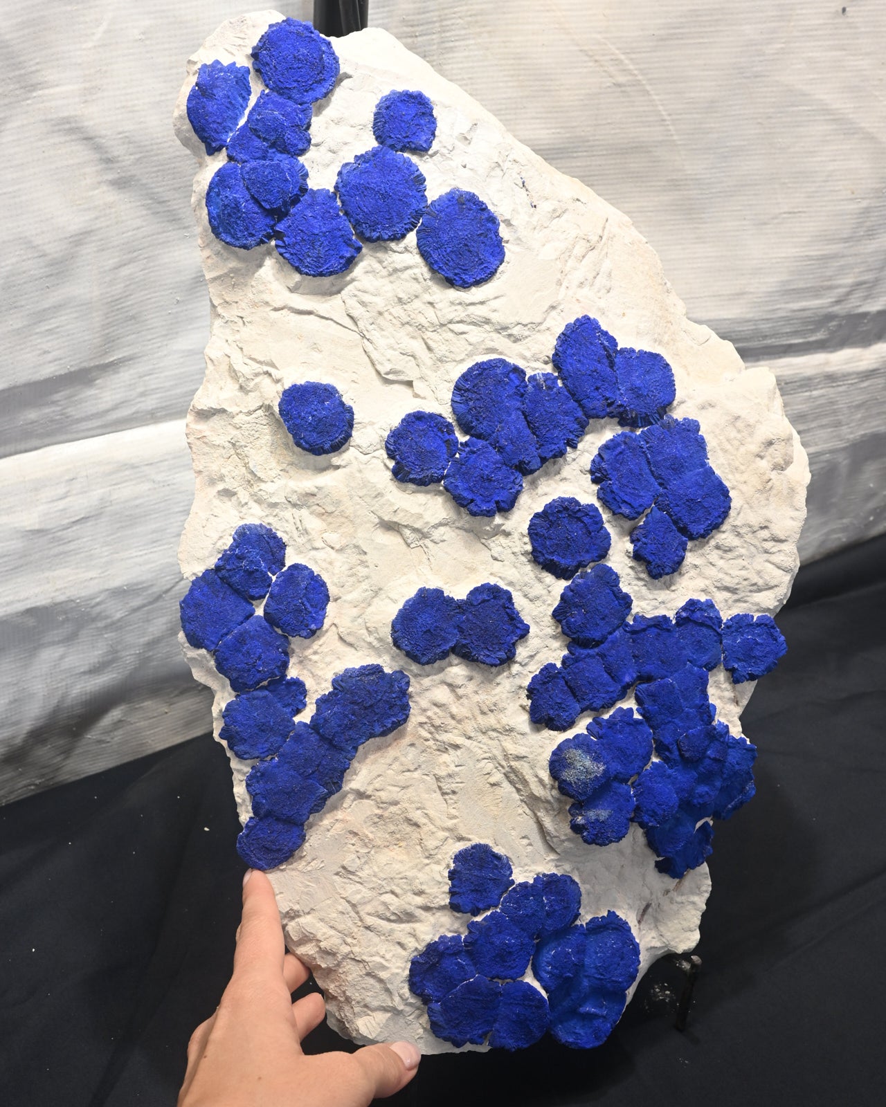 Rare Azurite Specimen Museum Grade