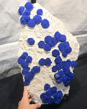 Rare Azurite Specimen Museum Grade