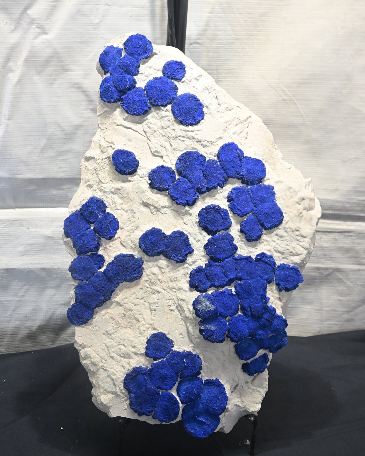 Rare Azurite Specimen Museum Grade