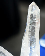 Double Lemurian Point on Stand