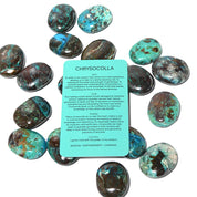 Chrysocolla Palm Stone