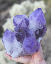 XL Bolivian Amethyst Cluster