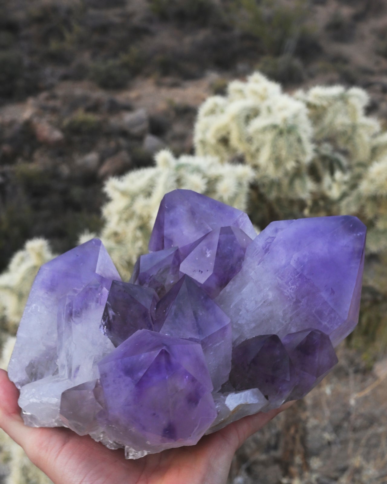 XL Bolivian Amethyst Cluster