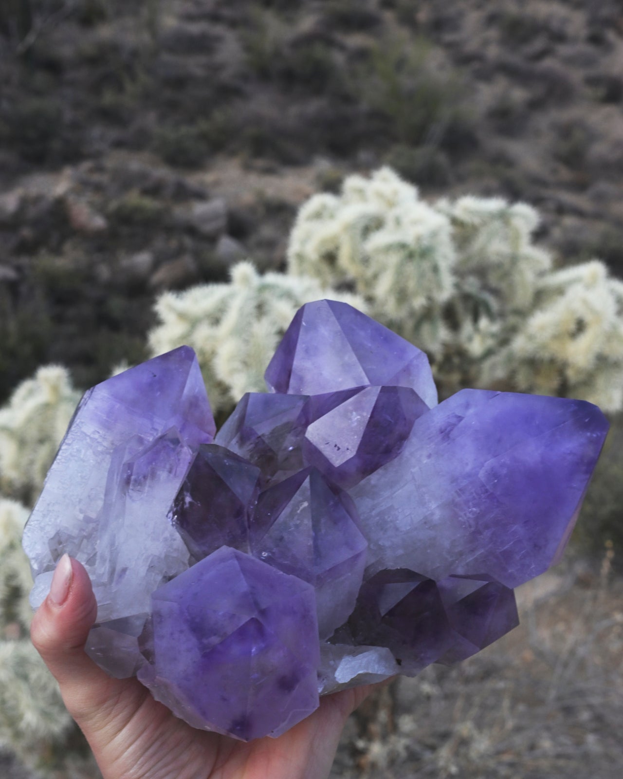 XL Bolivian Amethyst Cluster 8lb