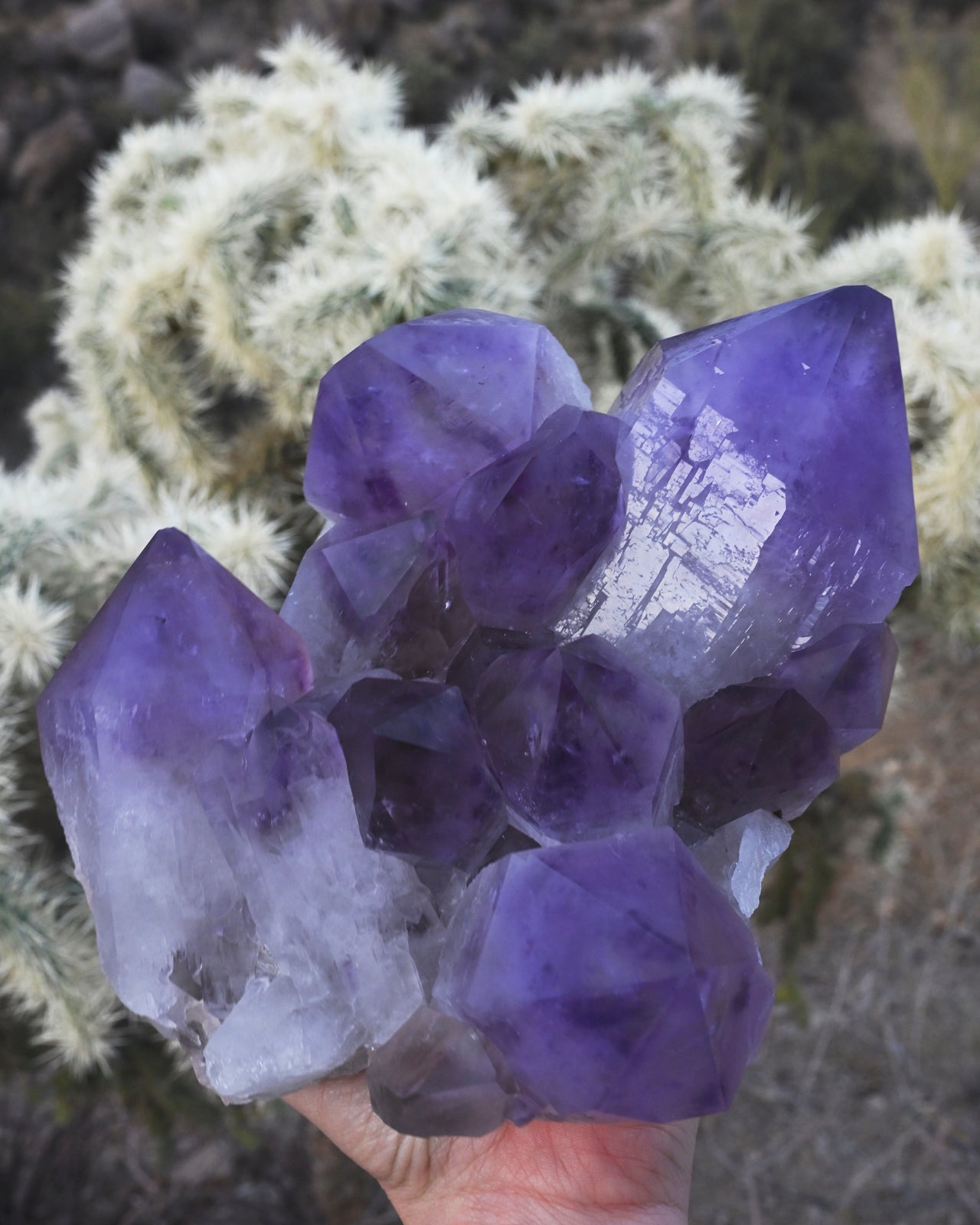 XL Bolivian Amethyst Cluster