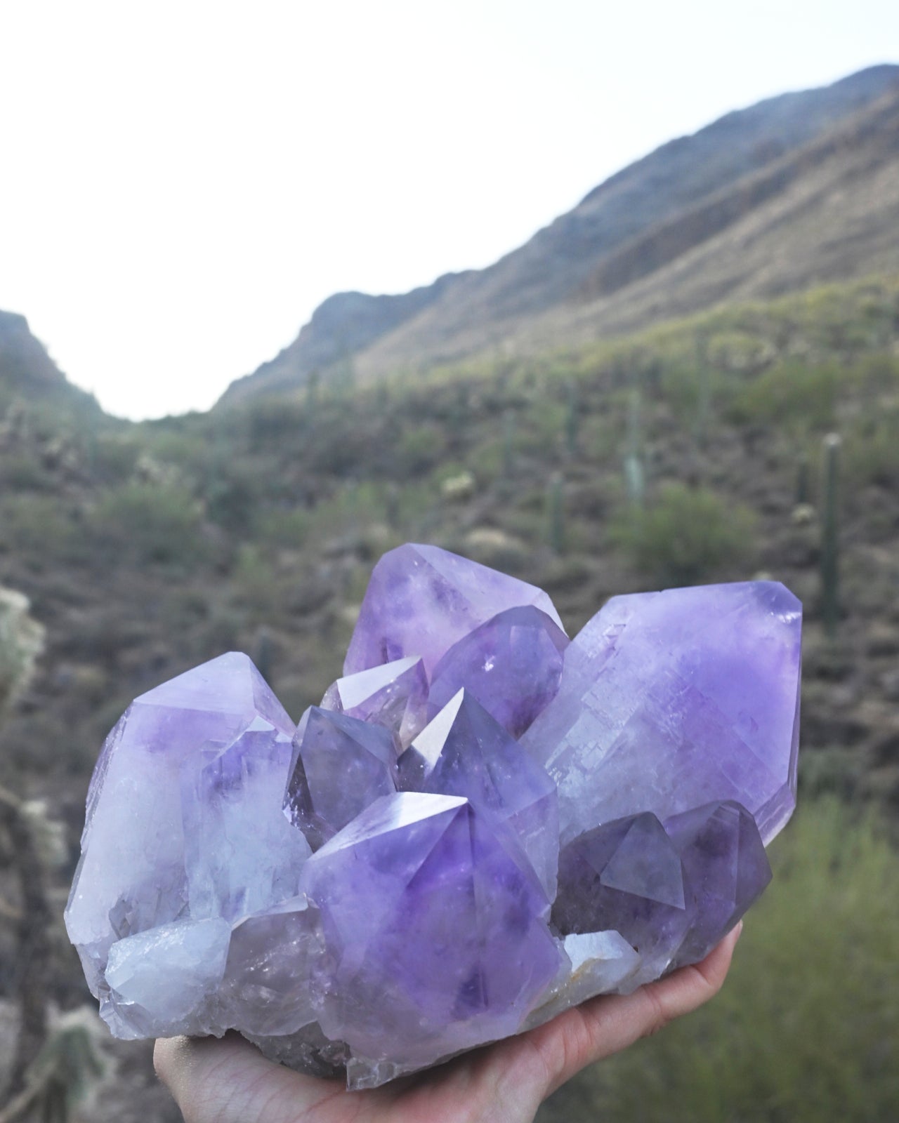 XL Bolivian Amethyst Cluster 8lb