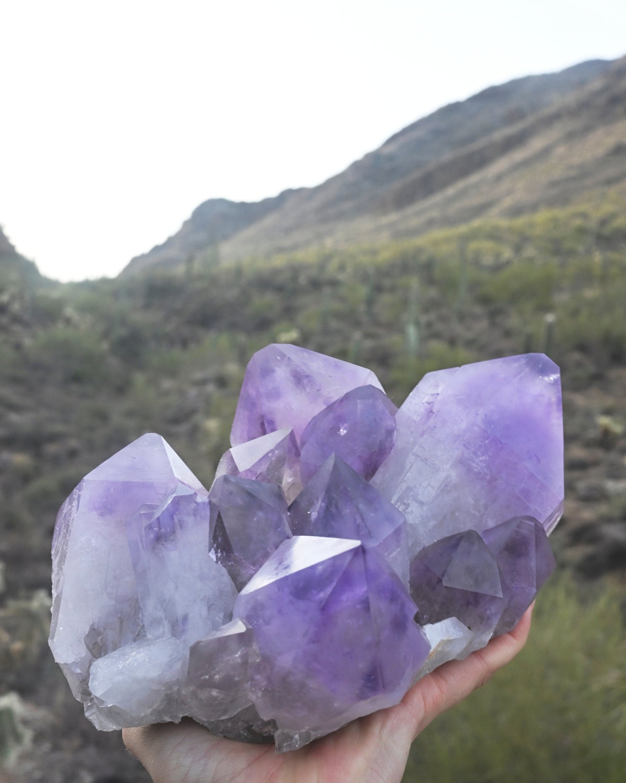 XL Bolivian Amethyst Cluster 8lb