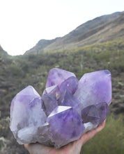 XL Bolivian Amethyst Cluster