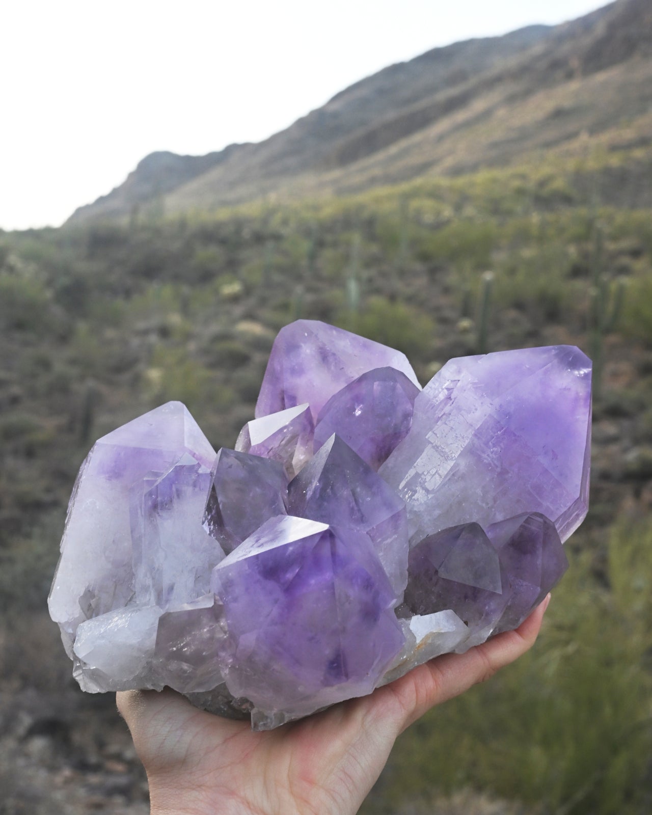 XL Bolivian Amethyst Cluster 8lb