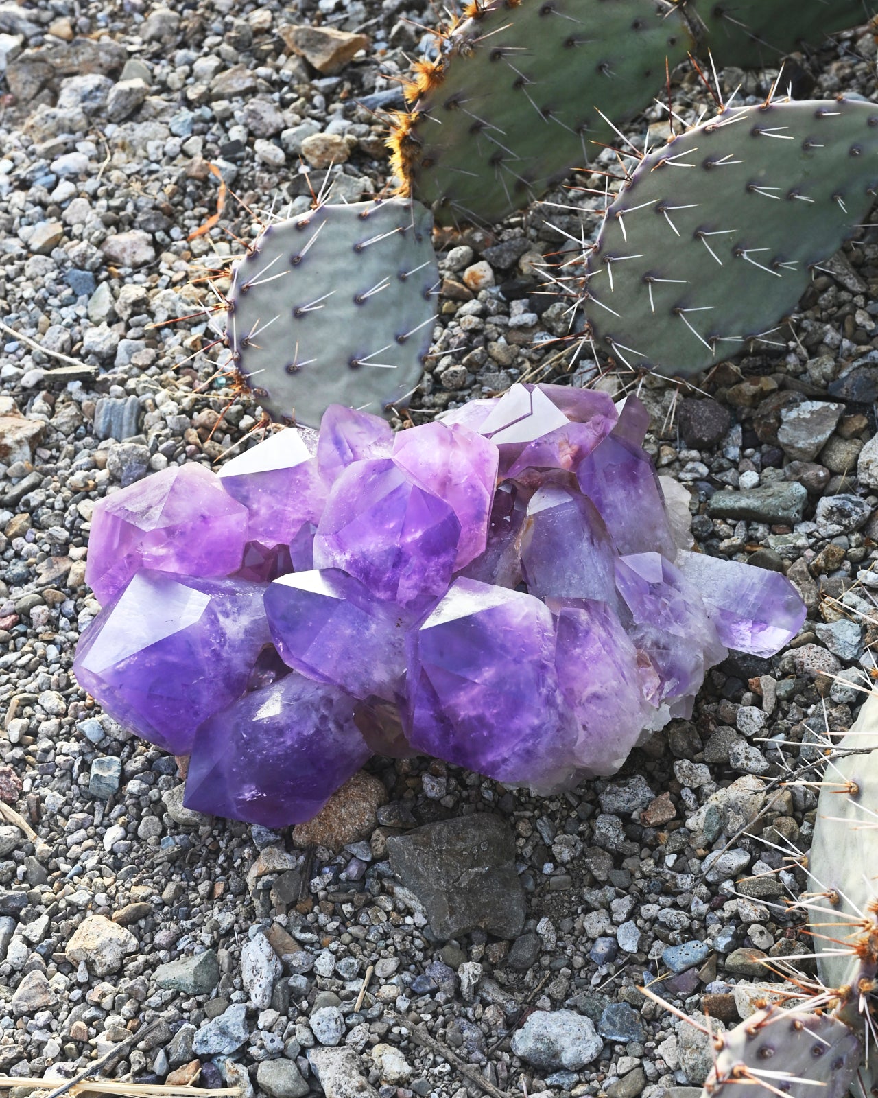 XL Bolivian Amethyst Cluster