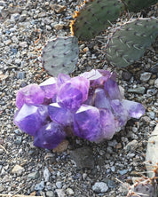 XL Bolivian Amethyst Cluster