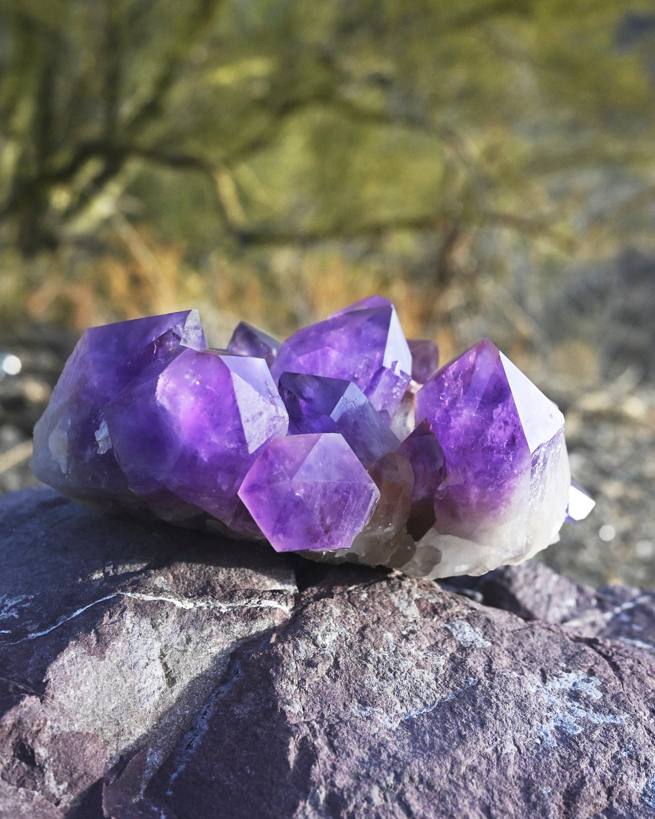 XL Bolivian Amethyst Cluster