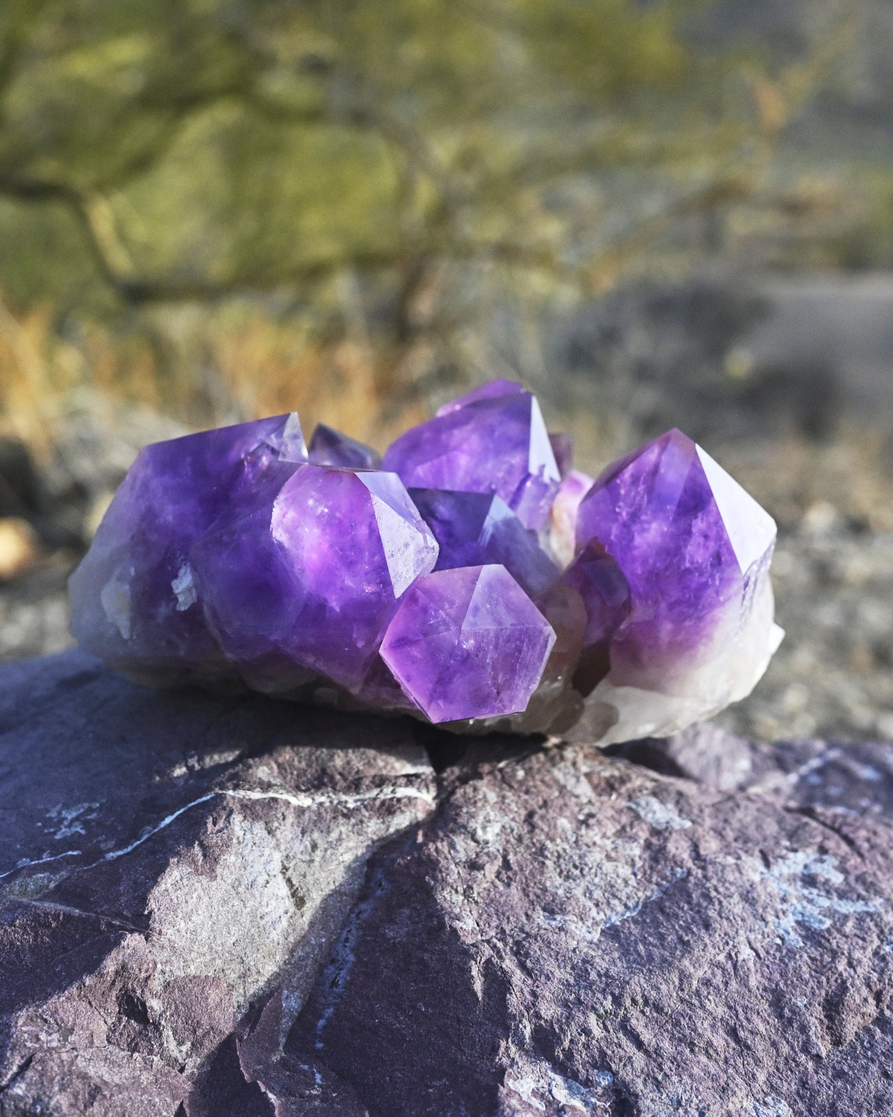 XL Bolivian Amethyst Cluster