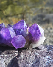 XL Bolivian Amethyst Cluster