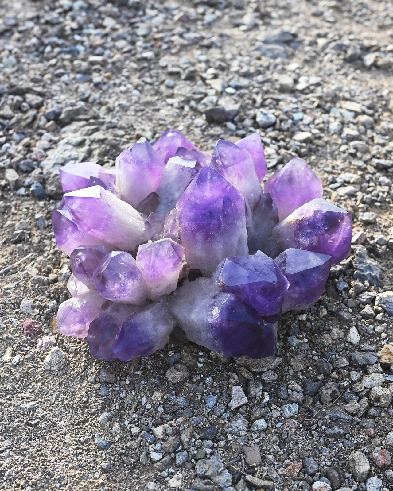 Exceptional Massive Bolivian Amethyst Cluster 40lbs