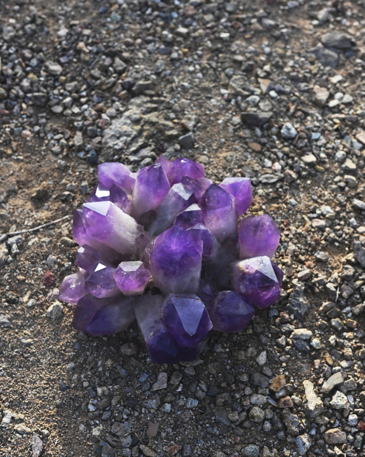 Exceptional Massive Bolivian Amethyst Cluster 40lbs