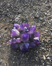 Exceptional Massive Bolivian Amethyst Cluster 40lbs