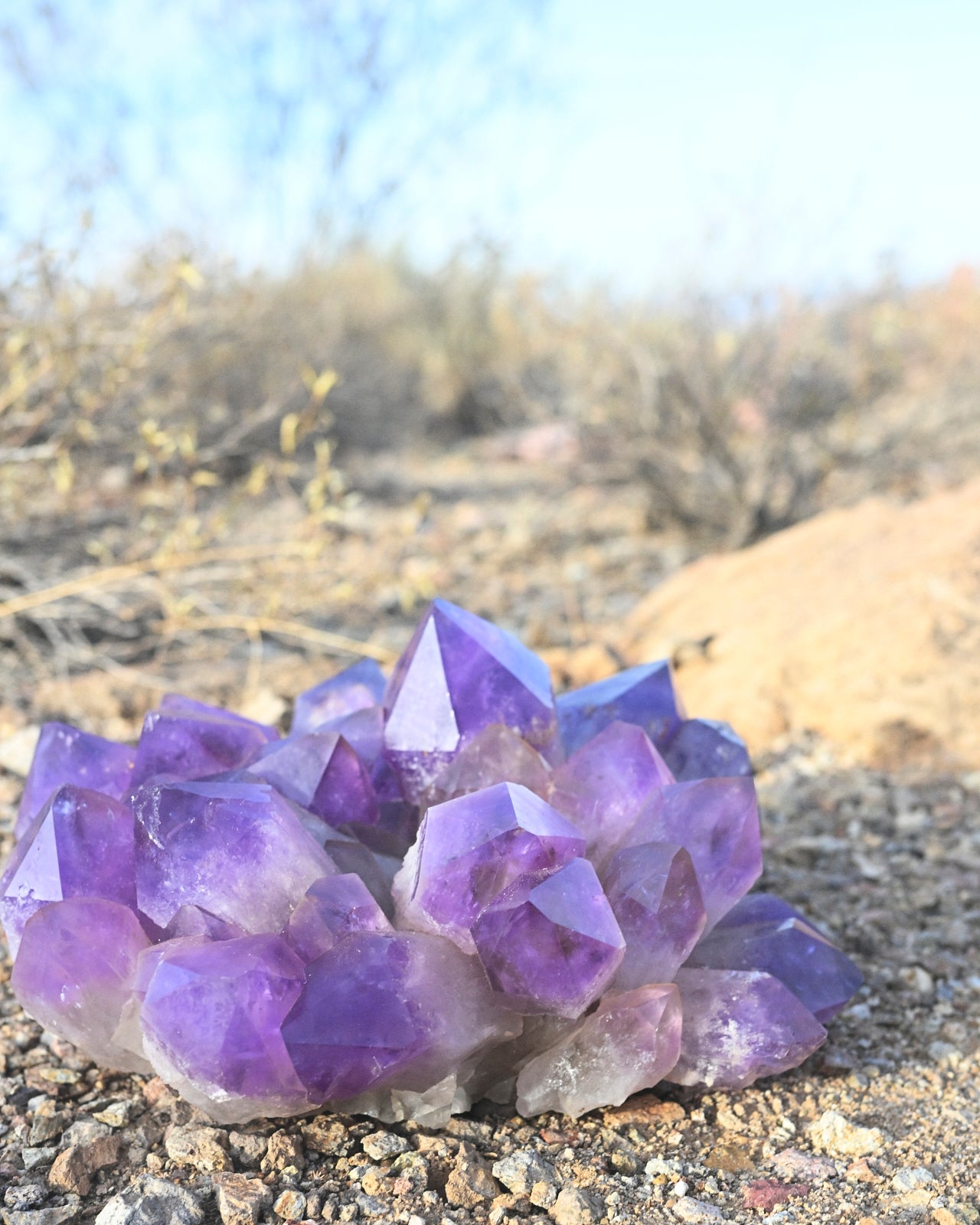 Exceptional Massive Bolivian Amethyst Cluster 40lbs