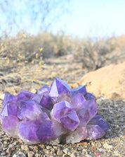 Exceptional Massive Bolivian Amethyst Cluster 40lbs