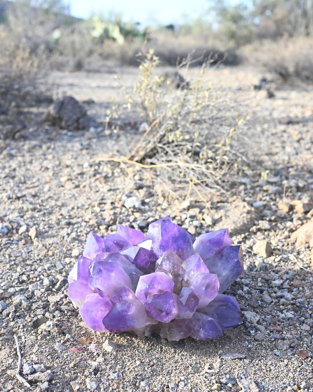 Exceptional Massive Bolivian Amethyst Cluster 40lbs