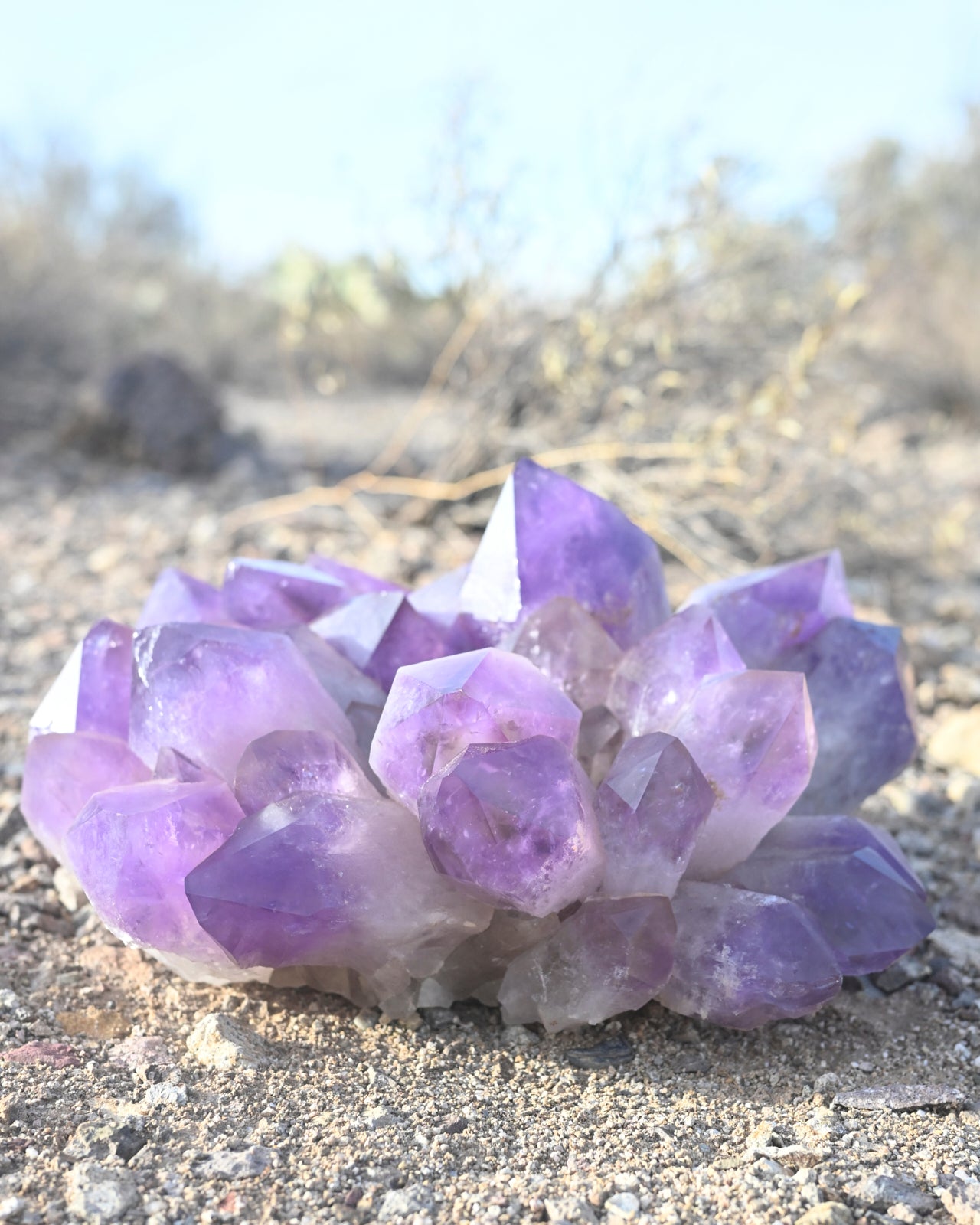 Exceptional Massive Bolivian Amethyst Cluster 40lbs