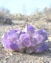 Exceptional Massive Bolivian Amethyst Cluster 40lbs