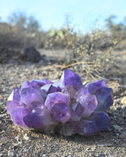 Exceptional Massive Bolivian Amethyst Cluster 40lbs