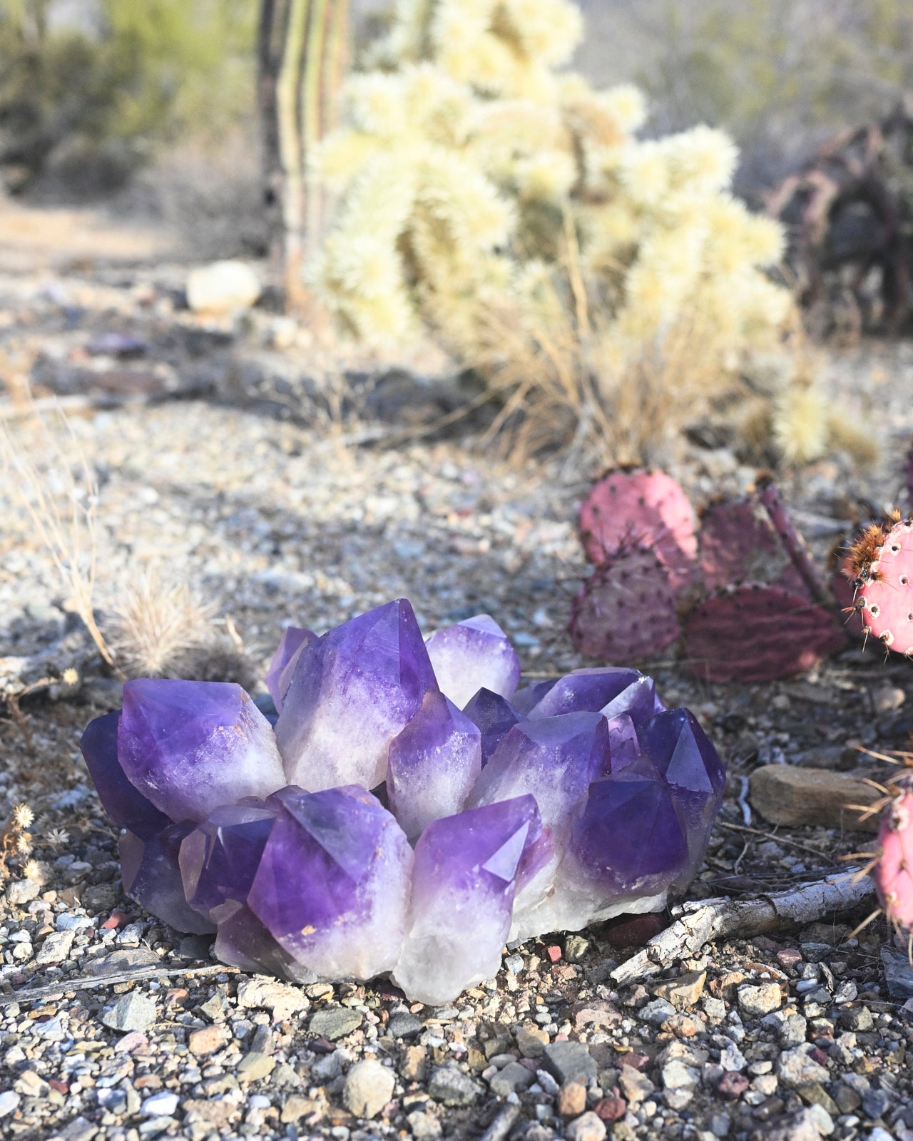 Exceptional Massive Bolivian Amethyst Cluster 40lbs