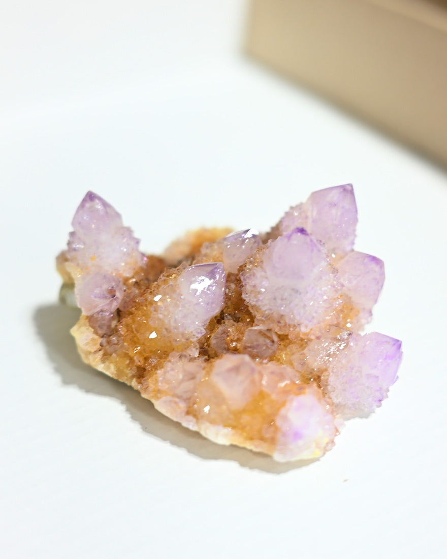 Amethyst Spirit Cactus Quartz