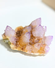 Amethyst Spirit Cactus Quartz