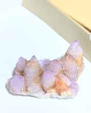 Amethyst Spirit Cactus Quartz