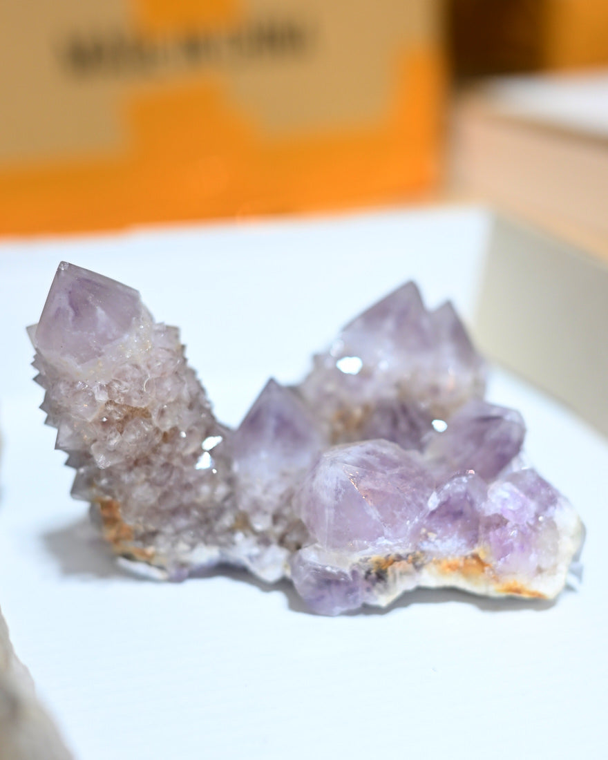 Amethyst Spirit Cactus Quartz