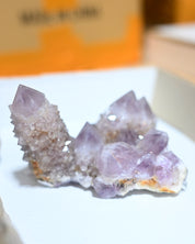 Amethyst Spirit Cactus Quartz