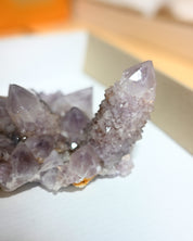 Amethyst Spirit Cactus Quartz