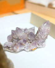 Amethyst Spirit Cactus Quartz